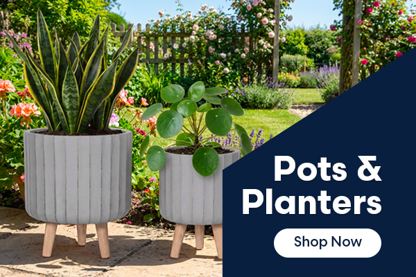 Pots & Planters